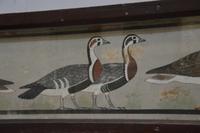 Gänserelief von Meidum &ndash; &copy; Gina Egenolf (Eberhardt TRAVEL)
