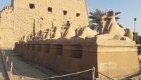 Karnak - Tempel &ndash; &copy; Gina Egenolf (Eberhardt TRAVEL)