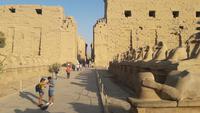 Karnak Tempel &ndash; &copy; Gina Egenolf (Eberhardt TRAVEL)