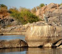 I am the king &ndash; &copy; Gina Egenolf (Eberhardt TRAVEL)