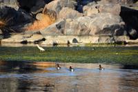 Vogelwelt &ndash; &copy; Gina Egenolf (Eberhardt TRAVEL)