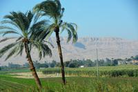 am Wegesrand &ndash; &copy; Gina Egenolf (Eberhardt TRAVEL)