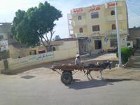 Luxor &ndash; &copy; Anne-Katrin Müller (Eberhardt TRAVEL)