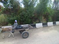 Luxor &ndash; &copy; Anne-Katrin Müller (Eberhardt TRAVEL)