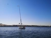 Filuke auf dem Nil &ndash; &copy; Eva Sieglow (Eberhardt TRAVEL)