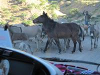 IMG_1600 &ndash; &copy; Britt Reuter-Bracklow (Eberhardt TRAVEL)