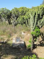 IMG_1770 &ndash; &copy; Britt Reuter-Bracklow (Eberhardt TRAVEL)