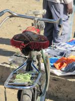 IMG_1939 &ndash; &copy; Britt Reuter-Bracklow (Eberhardt TRAVEL)