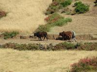 IMG_2058 &ndash; &copy; Britt Reuter-Bracklow (Eberhardt TRAVEL)