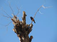 IMG_2069 &ndash; &copy; Britt Reuter-Bracklow (Eberhardt TRAVEL)
