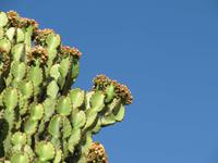 IMG_2127 &ndash; &copy; Britt Reuter-Bracklow (Eberhardt TRAVEL)