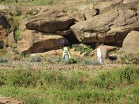 IMG_2138 &ndash; &copy; Britt Reuter-Bracklow (Eberhardt TRAVEL)