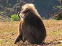 IMG_2340 &ndash; &copy; Britt Reuter-Bracklow (Eberhardt TRAVEL)