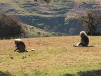 IMG_2341 &ndash; &copy; Britt Reuter-Bracklow (Eberhardt TRAVEL)
