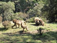 IMG_2348 &ndash; &copy; Britt Reuter-Bracklow (Eberhardt TRAVEL)