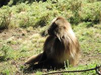 IMG_2354 &ndash; &copy; Britt Reuter-Bracklow (Eberhardt TRAVEL)