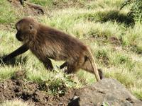 IMG_2356 &ndash; &copy; Britt Reuter-Bracklow (Eberhardt TRAVEL)
