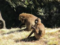IMG_2358 &ndash; &copy; Britt Reuter-Bracklow (Eberhardt TRAVEL)