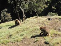 IMG_2362 &ndash; &copy; Britt Reuter-Bracklow (Eberhardt TRAVEL)