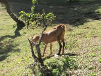 IMG_2363 &ndash; &copy; Britt Reuter-Bracklow (Eberhardt TRAVEL)