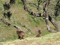 IMG_2374 &ndash; &copy; Britt Reuter-Bracklow (Eberhardt TRAVEL)