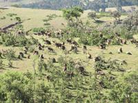 IMG_2398 &ndash; &copy; Britt Reuter-Bracklow (Eberhardt TRAVEL)