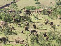 IMG_2399 &ndash; &copy; Britt Reuter-Bracklow (Eberhardt TRAVEL)