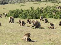 IMG_2401 &ndash; &copy; Britt Reuter-Bracklow (Eberhardt TRAVEL)