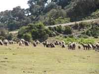 IMG_2406 &ndash; &copy; Britt Reuter-Bracklow (Eberhardt TRAVEL)