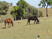 IMG_2426 &ndash; &copy; Britt Reuter-Bracklow (Eberhardt TRAVEL)