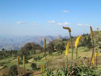 IMG_2467 &ndash; &copy; Britt Reuter-Bracklow (Eberhardt TRAVEL)