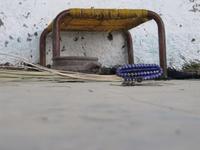 IMG_2489 &ndash; &copy; Britt Reuter-Bracklow (Eberhardt TRAVEL)