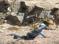IMG_2591 &ndash; &copy; Britt Reuter-Bracklow (Eberhardt TRAVEL)