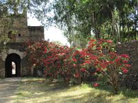 IMG_2660 &ndash; &copy; Britt Reuter-Bracklow (Eberhardt TRAVEL)