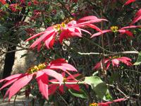 IMG_2666 &ndash; &copy; Britt Reuter-Bracklow (Eberhardt TRAVEL)