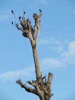 IMG_2808 &ndash; &copy; Britt Reuter-Bracklow (Eberhardt TRAVEL)