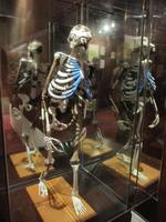 IMG_3236 &ndash; &copy; Britt Reuter-Bracklow (Eberhardt TRAVEL)