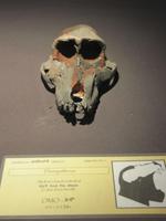 IMG_3243 &ndash; &copy; Britt Reuter-Bracklow (Eberhardt TRAVEL)