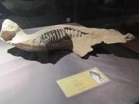 IMG_3245 &ndash; &copy; Britt Reuter-Bracklow (Eberhardt TRAVEL)