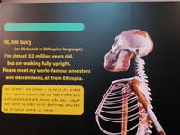 IMG_3259 &ndash; &copy; Britt Reuter-Bracklow (Eberhardt TRAVEL)
