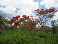 Harar_MfM &ndash; &copy; Britt Reuter-Bracklow (Eberhardt TRAVEL)