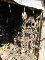 Harar_Markt &ndash; &copy; Britt Reuter-Bracklow (Eberhardt TRAVEL)
