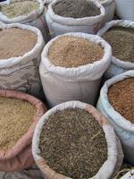 Harar_Markt &ndash; &copy; Britt Reuter-Bracklow (Eberhardt TRAVEL)