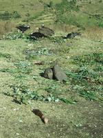 Fahrt von Harar zum Awash NP &ndash; &copy; Britt Reuter-Bracklow (Eberhardt TRAVEL)