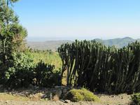 Fahrt von Harar zum Awash NP &ndash; &copy; Britt Reuter-Bracklow (Eberhardt TRAVEL)