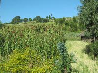 Fahrt von Harar zum Awash NP &ndash; &copy; Britt Reuter-Bracklow (Eberhardt TRAVEL)