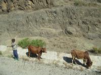 Fahrt von Harar zum Awash NP &ndash; &copy; Britt Reuter-Bracklow (Eberhardt TRAVEL)