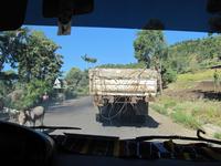 Fahrt von Harar zum Awash NP &ndash; &copy; Britt Reuter-Bracklow (Eberhardt TRAVEL)