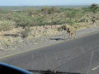 IMG_0858 &ndash; &copy; Britt Reuter-Bracklow (Eberhardt TRAVEL)