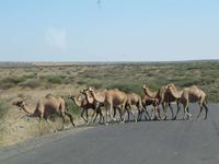 IMG_0869 &ndash; &copy; Britt Reuter-Bracklow (Eberhardt TRAVEL)